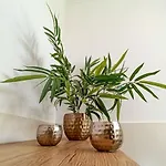 Haus Starkenburg By Interhome * Энкирх