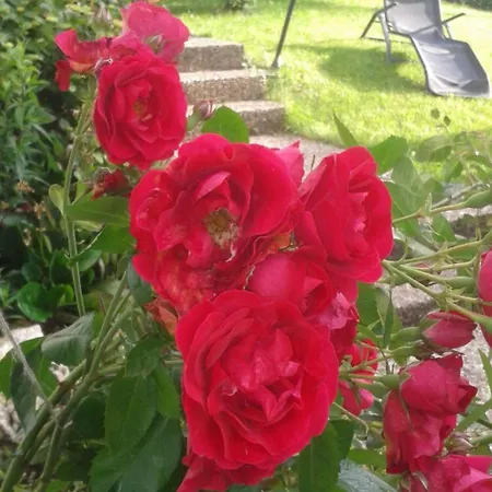 Apartment Apartment Haus Starkenburg By Interhome Enkirch