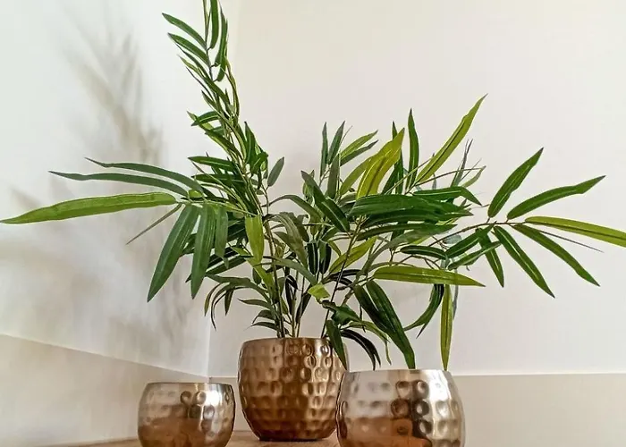 Apartment Haus Starkenburg By Interhome * Enkirch